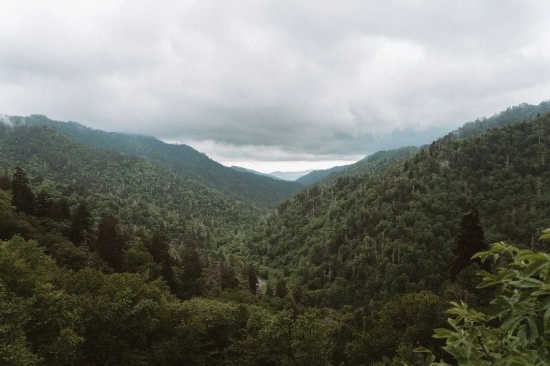 eb2d092de891b16943f2735fdf55598d.jpg eb2d092de891b16943f2735fdf55598d.jpg